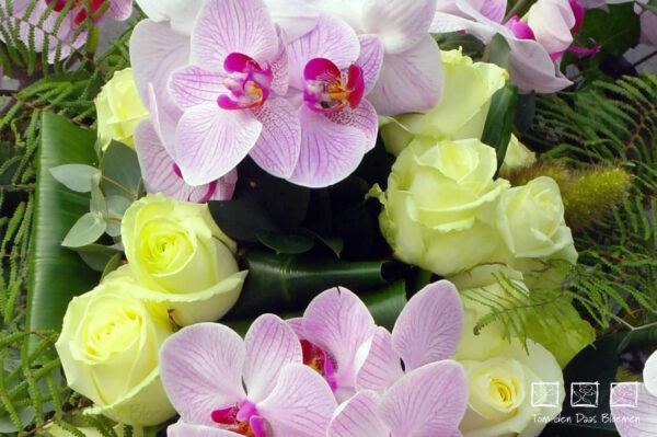 Nr.33 Arrangement Kruisvorm Orchidee - Afbeelding 2