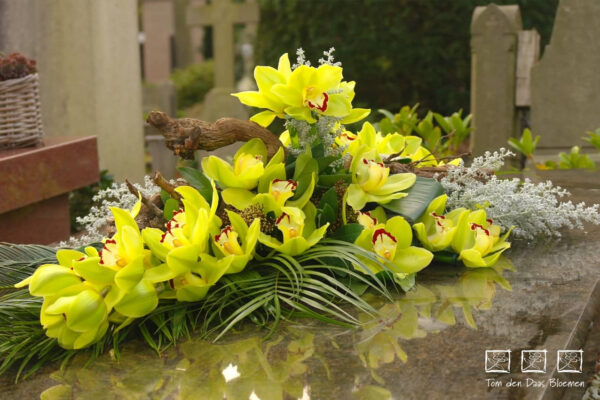 Nr.32 Cymbidium Limegroen