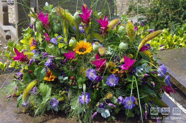 Nr.30 Arrangement Natuur