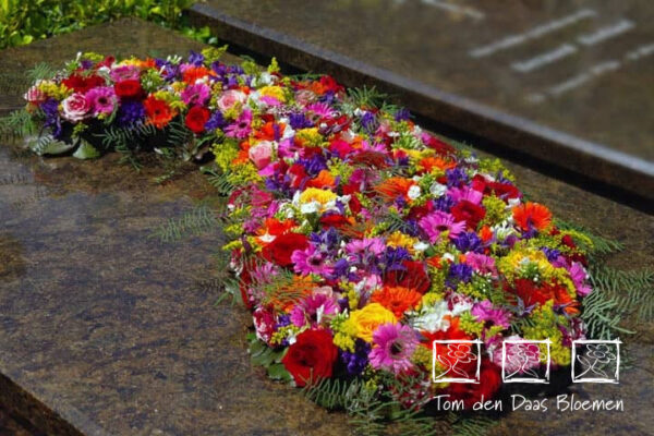 Nr.29 Arrangement “traan”