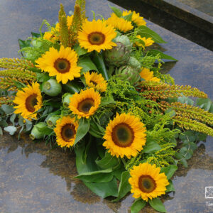 Nr.14 Zonnebloemen op lijn