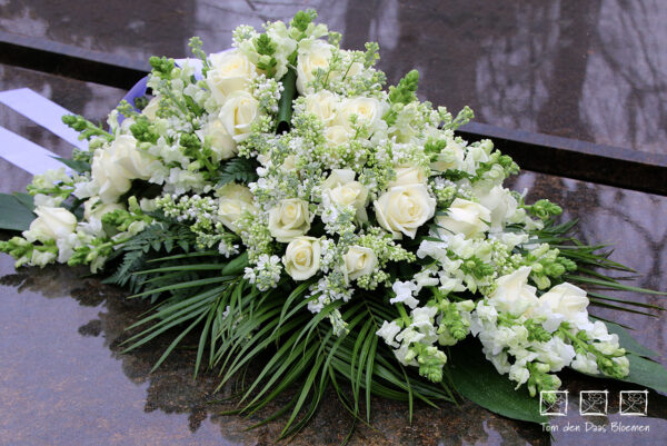 Nr.02 Arrangement Wit